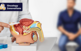 doctor showing patient a model of the anatomy of the prostate